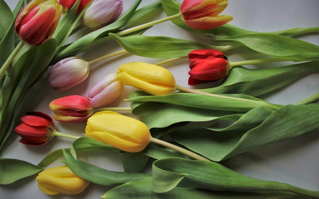 silk flower arrangements, blooms flower shop,
